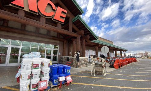 Ace Hardware Driggs