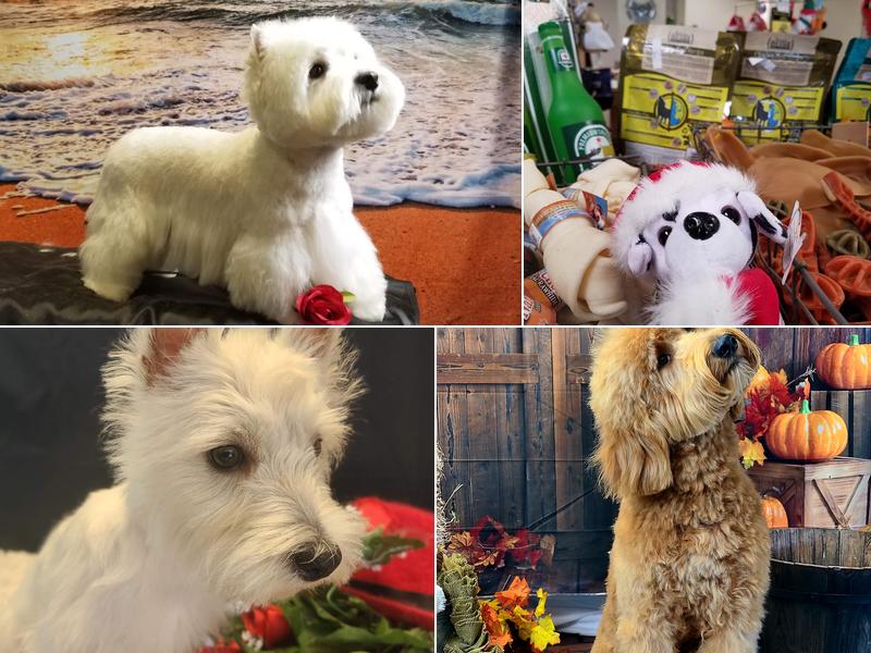 Pet Silhouette pet supply and grooming