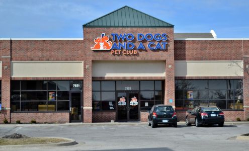 Two Dogs and A Cat Pet Club