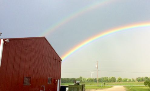 PJ'S Tropical Fish Inc Brownsville