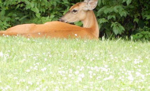 Summit Computer Systems