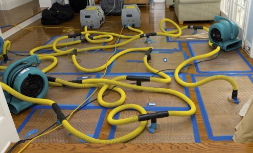 Angel's Restoration Specialist | Carpet Cleaning Ð† Upholstery Cleaning in Bowling Green KY