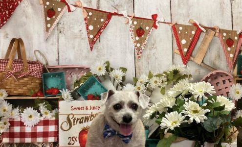 La de' Paws Grooming Salon