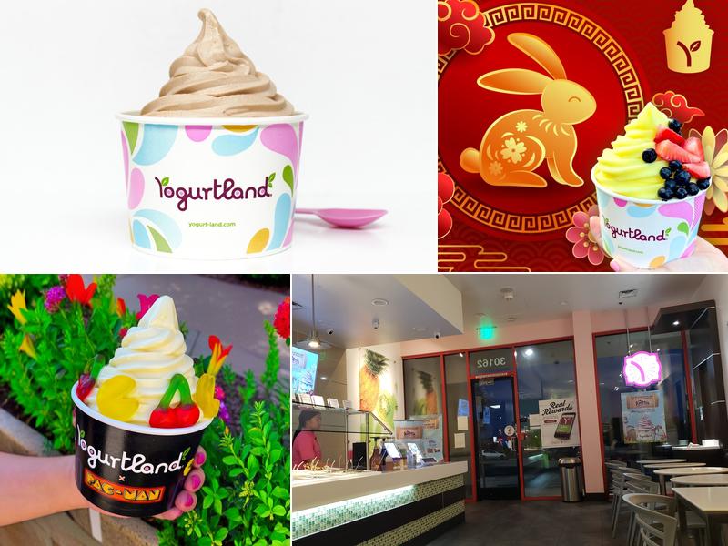 Yogurtland Hayward