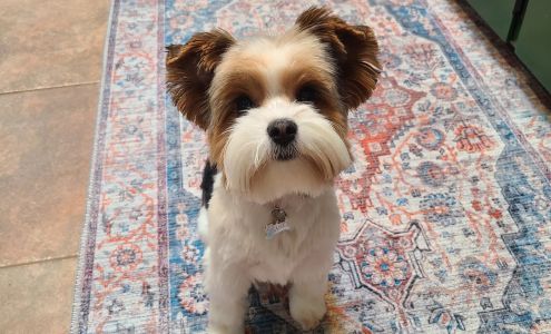 D'Tails Pet Grooming & Boarding 2403 S 2050 W, West Haven Utah 84401