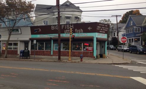 Big Fish Little Fish Pet Store