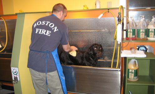 BYOD dog wash