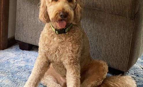 Christel's Pet Supplies & More