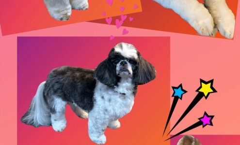 Lil' Critters Pet Salon