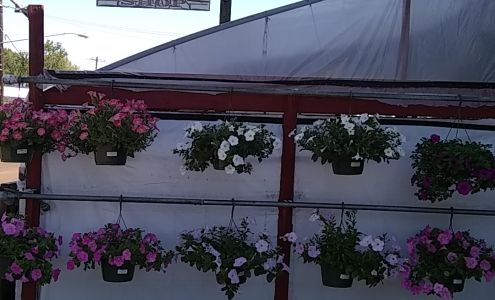 Johnson's Charleston