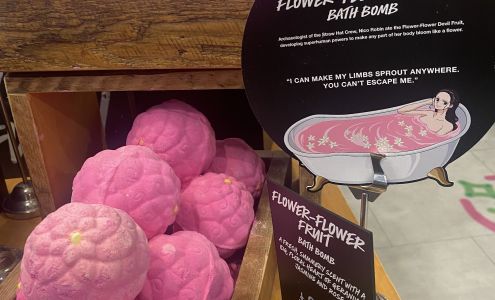 Lush Cosmetics South Shore Plaza Braintree