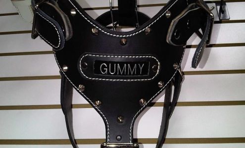 OMSCOLLARS Pendergrass