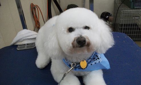 Linda's Critter Corral