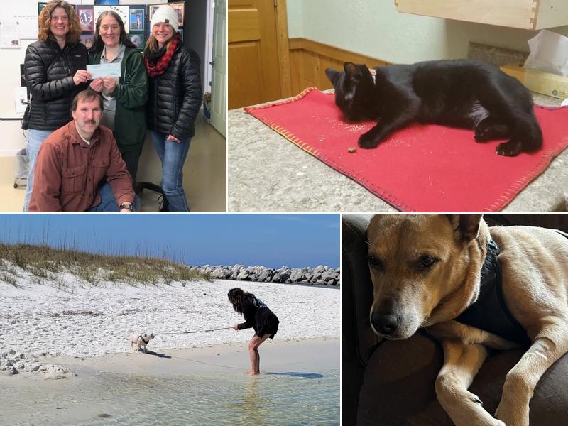 All Creatures Veterinary Clinic