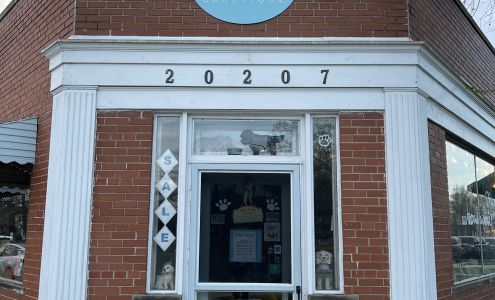 bow wow baketique Grosse Pointe Woods