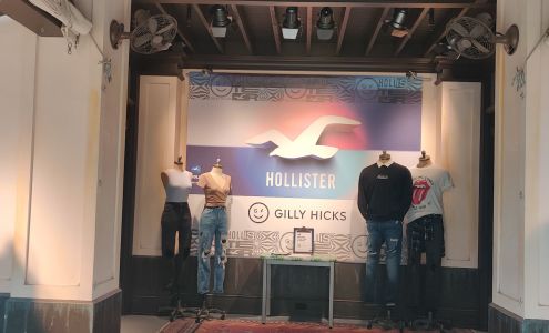 Hollister Co.