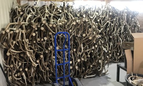 Worldwide Antler Chews Grantsville