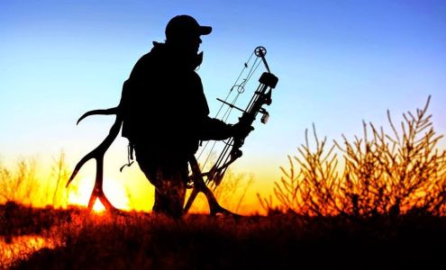 Star Pawn Gun & Archery Leesville