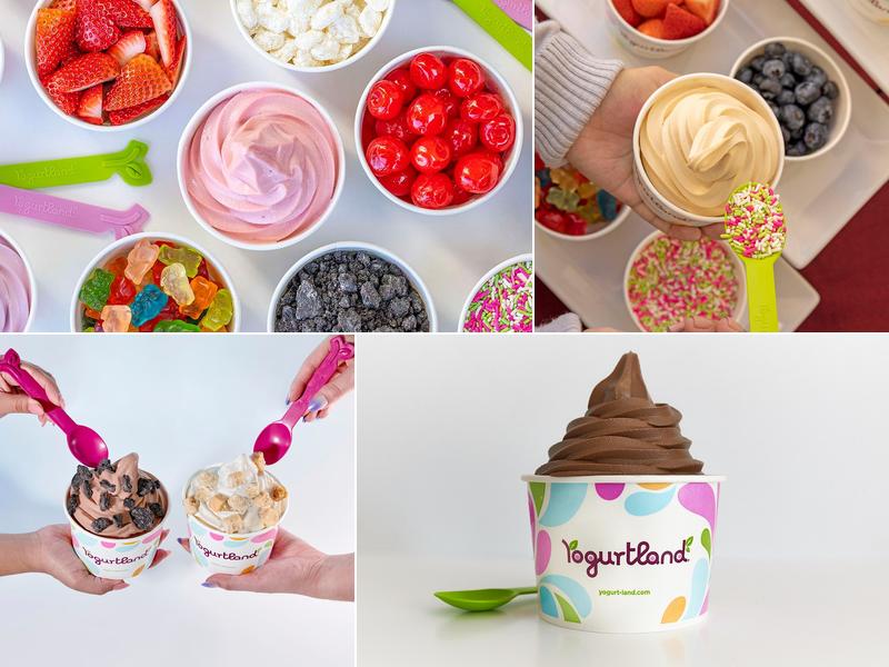 Yogurtland Fullerton