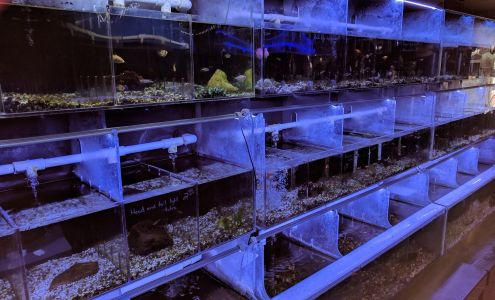 Atlantis Fish Shoppe