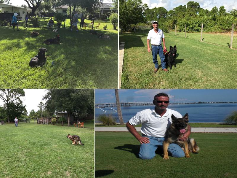 Southwest K-9 Academy