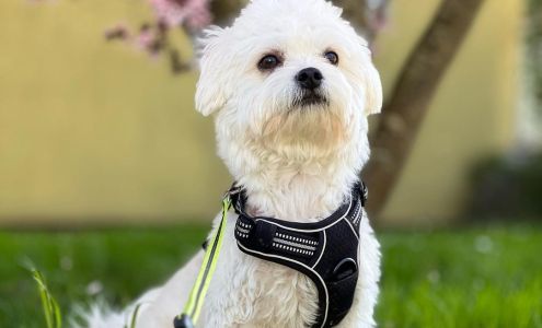 Beaverton Hardware And Sports Beaverton