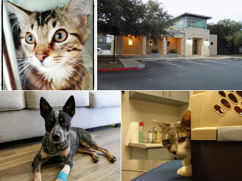 Community Pet Health Center