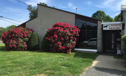 Canine Magic