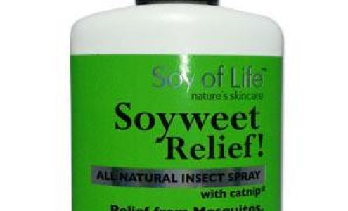 Soy of Life Plymouth