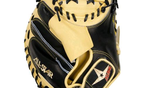 Apollo Sports Inc. Taunton