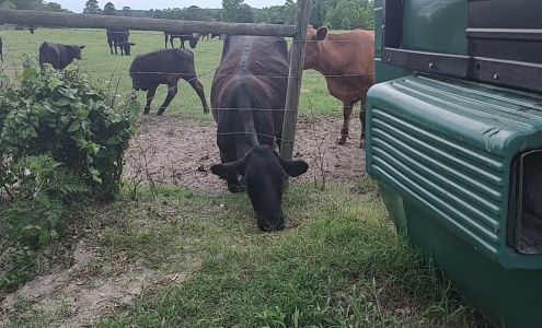 Computer Avenue Inc Johnston