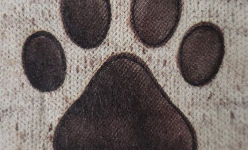 Dogs by Design & Cats Too!