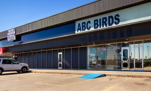 ABC BIRDS