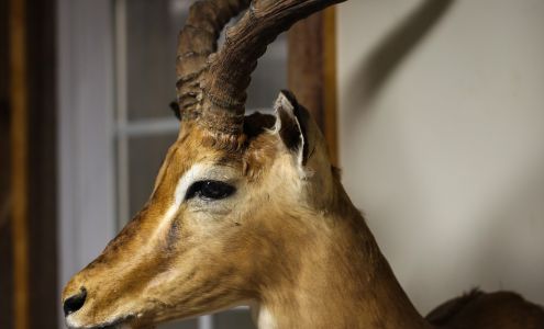 American Outdoors Salem