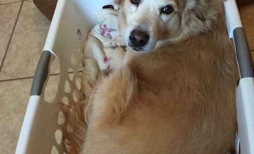 Benson Feed & Supply Store