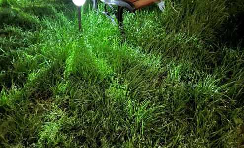 Contending For the Faith