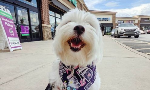 Cattyvet Pet Supply Saginaw