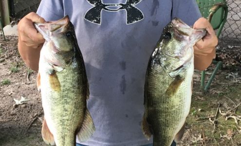 Rowell's Sporting Goods Citronelle