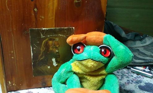 Youngs Furniture & Appliances Georgetown