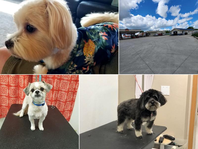 Wags N Whiskers Grooming Salon