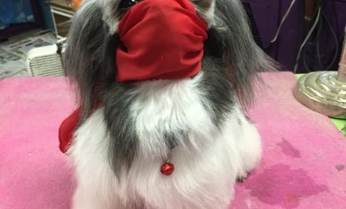 Janie's Dog Grooming 15380 5th St, Gulfport Mississippi 39503