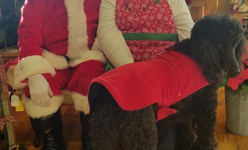 The Primitive Peddler