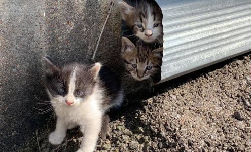 Memphis Wholesale Plumbing Supply