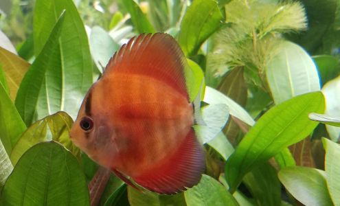 Treasure State Aquariums Billings