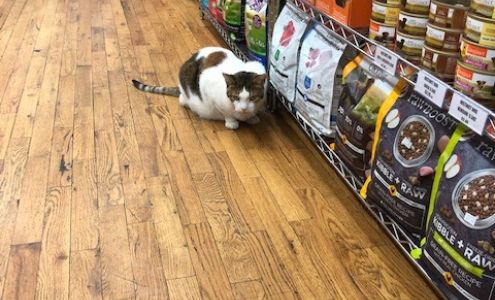 Pet Central 100 Street