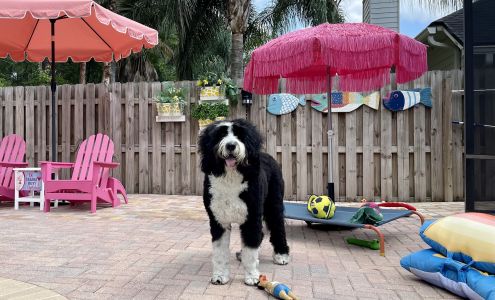 Woof Gang Bakery & Grooming Nocatee