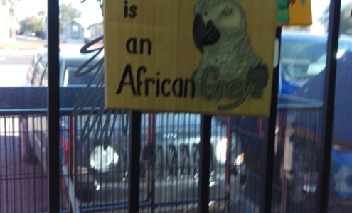 Birds, and Then Some!