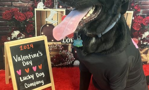 Lucky Dog Company Richwood