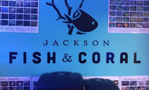 Jackson Fish and Coral