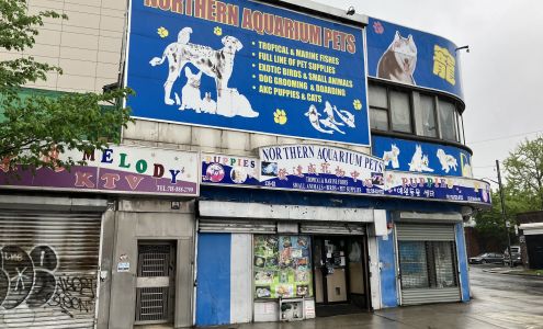 Northern Aquarium pet